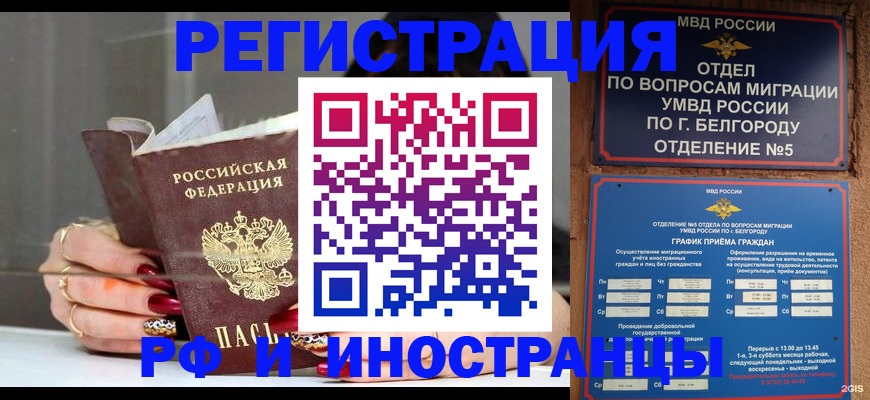 прописка в Щучье